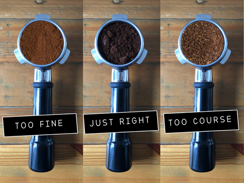 Barista Basics: How to Make an Espresso in 14 Steps - Perfect Daily Grind