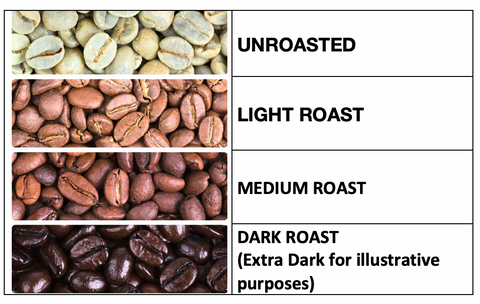 Visual of different Coffee Roasts