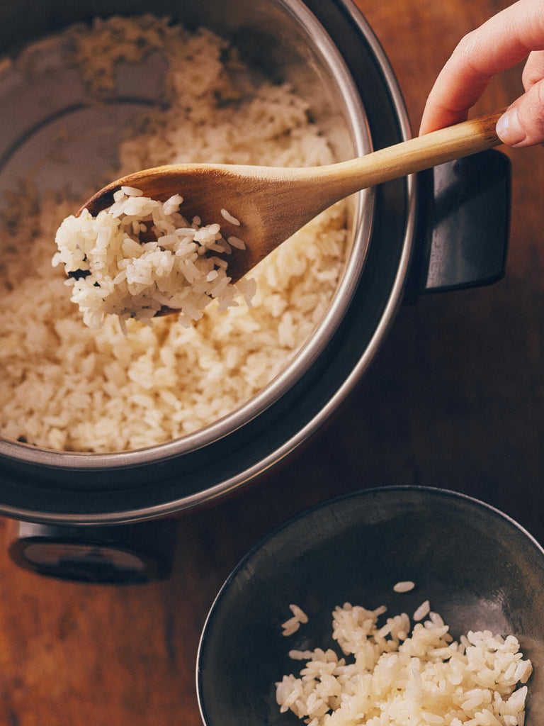 tatung rice cooker cookbook