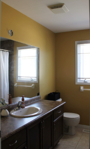 bathroom refresh-before pic