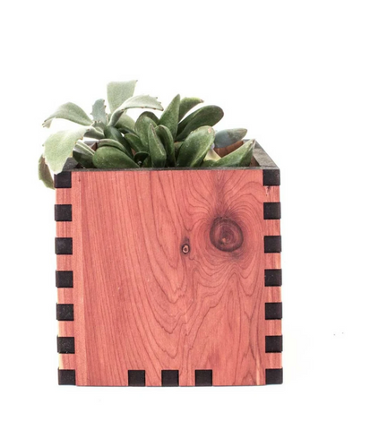 cedar box planter