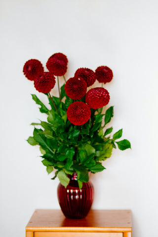 red flowers in pot