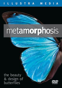 Metamorphosis: The Beauty and Design of Butterflies DVD image