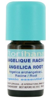 Angelica Root essential oil image