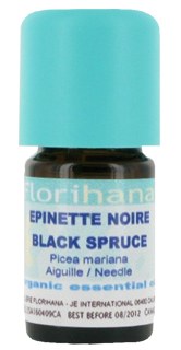 Black Spruce essential oil image