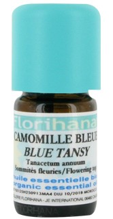 Blue Chamomile essential oil image