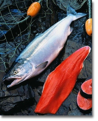 Copper River Sockeye Salmon picture