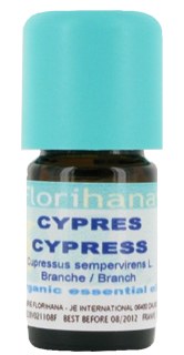 Cypress essential oil image