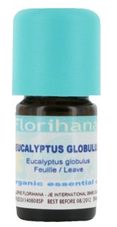 Eucalyptus Globulus essential oil image