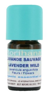 Lavender Vera Wild essential oil image
