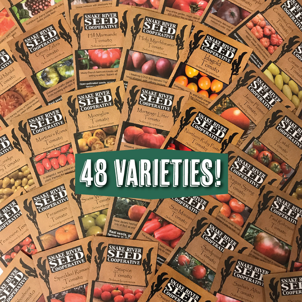 48 Varieties