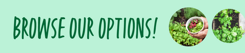 Browse our Options