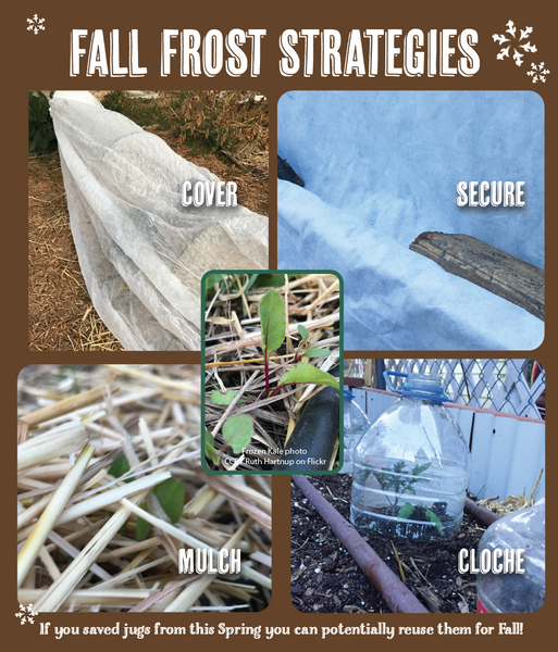 Fall Frost Strategies All