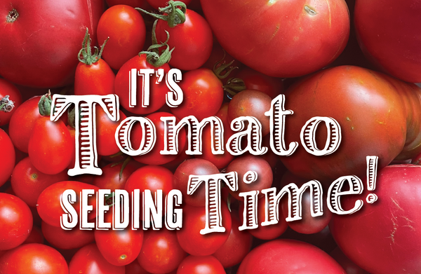 It's Tomato Time