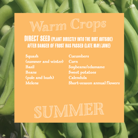 Direct Seed Warm Crops