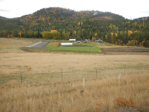 Winniford Family Farm