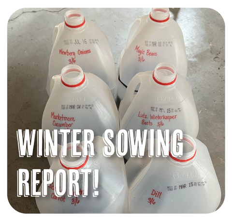 Winter Sowing Report