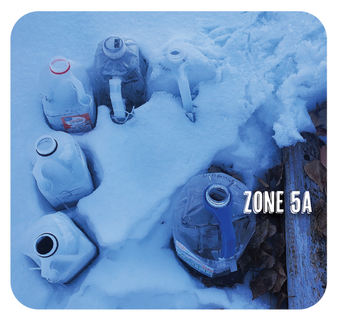 Zone 5a