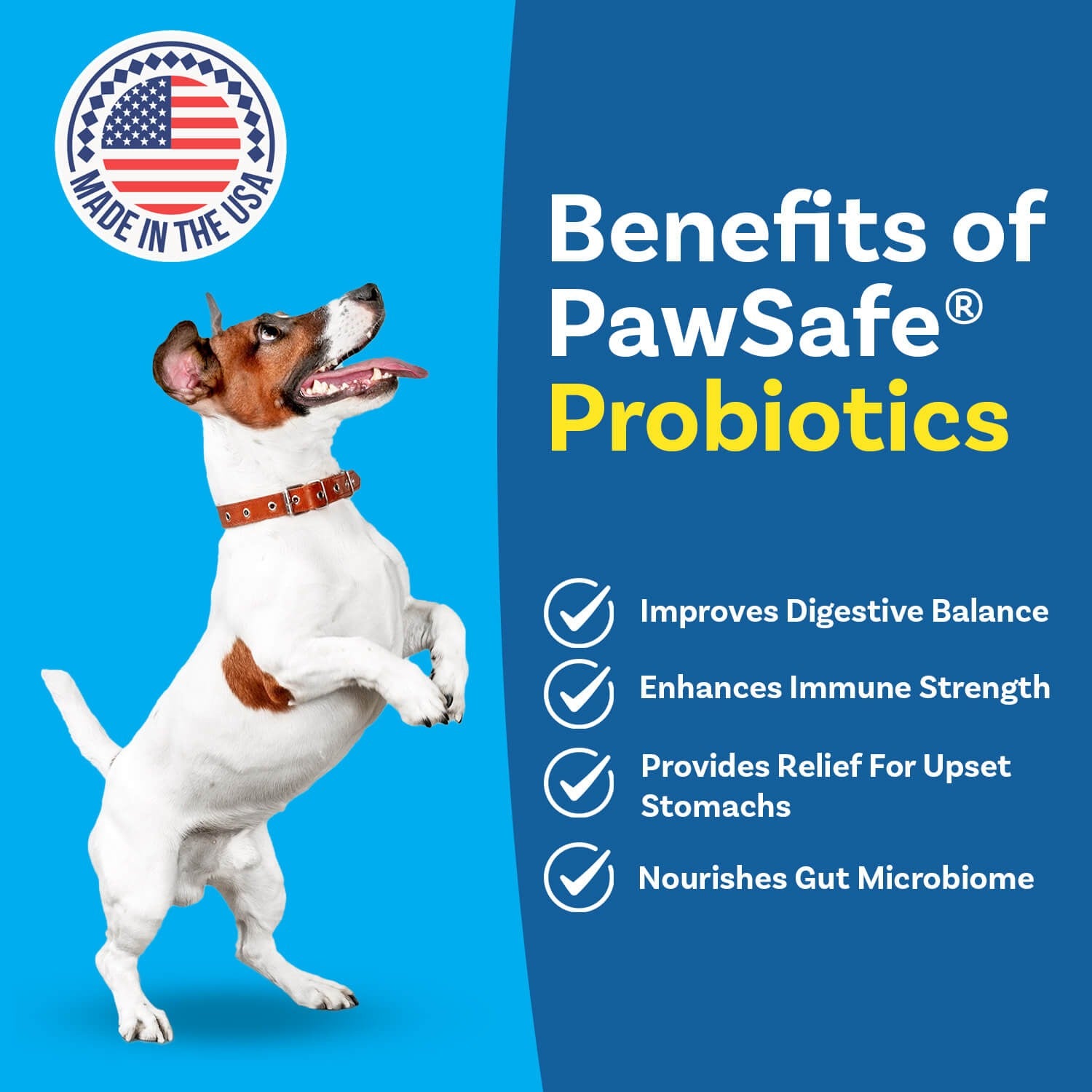 healthy-gut-probiotics-2.jpg__PID:0e3d69ad-f2f7-42b2-ab35-7a704088262f