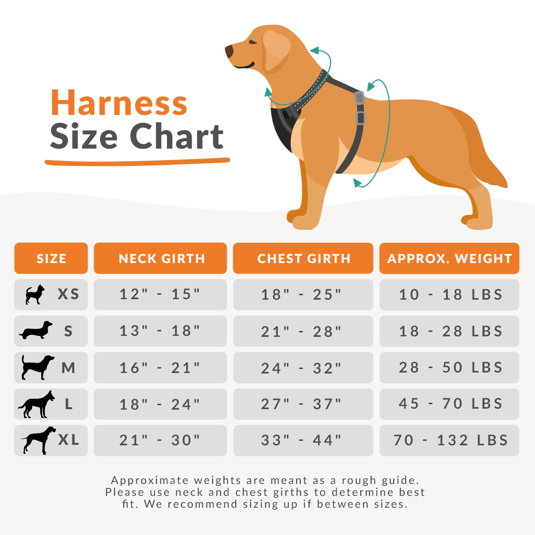 Dog Harness Figure-H Bonz Black | vlr.eng.br
