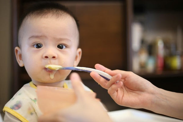 A cute baby looks directly into the camera while being spoon fed