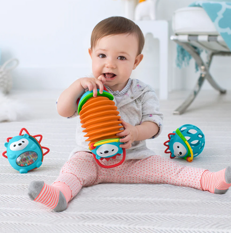 Skip Hop Explore & More Hedgehog Accordion Toy