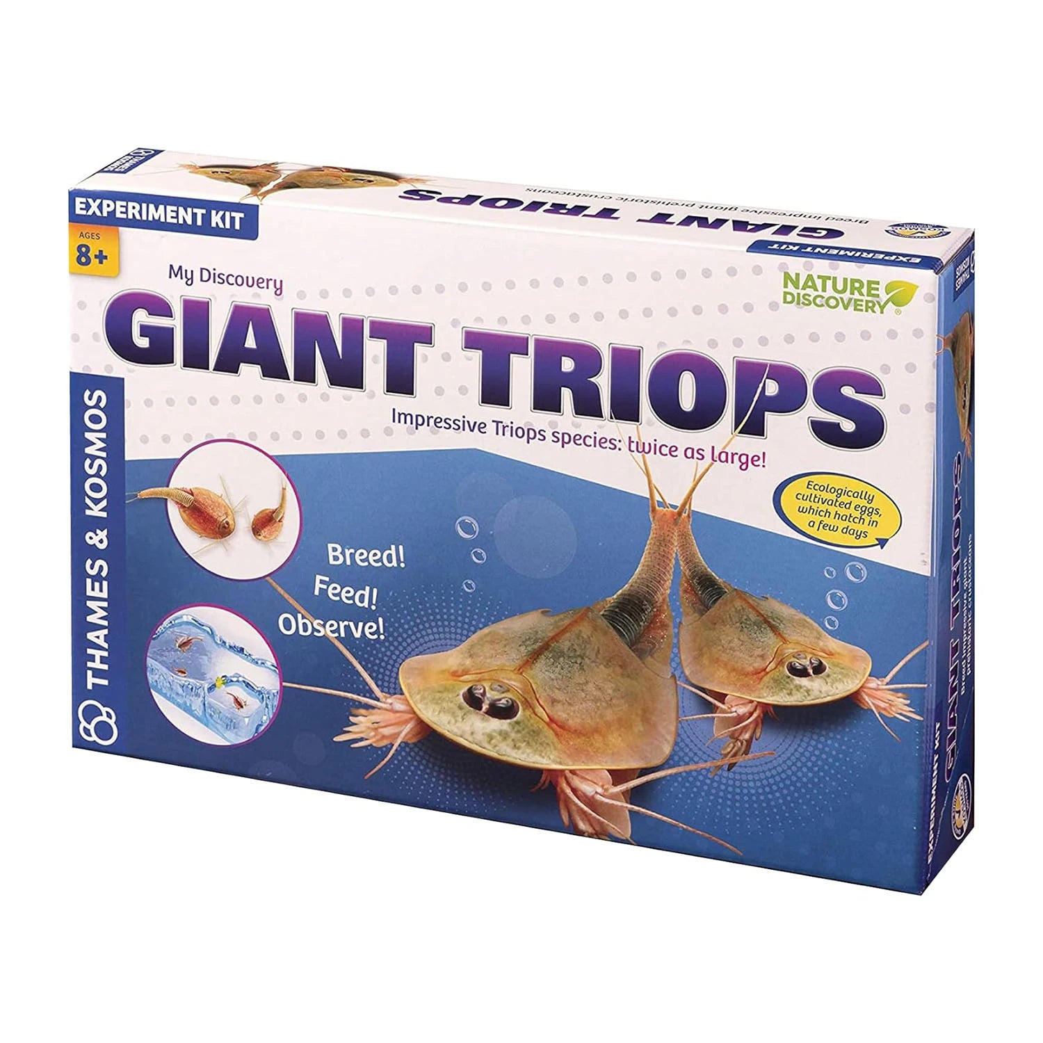 An image of Giant Triops Kit - Raise Prehistoric Creatures - Shop Now