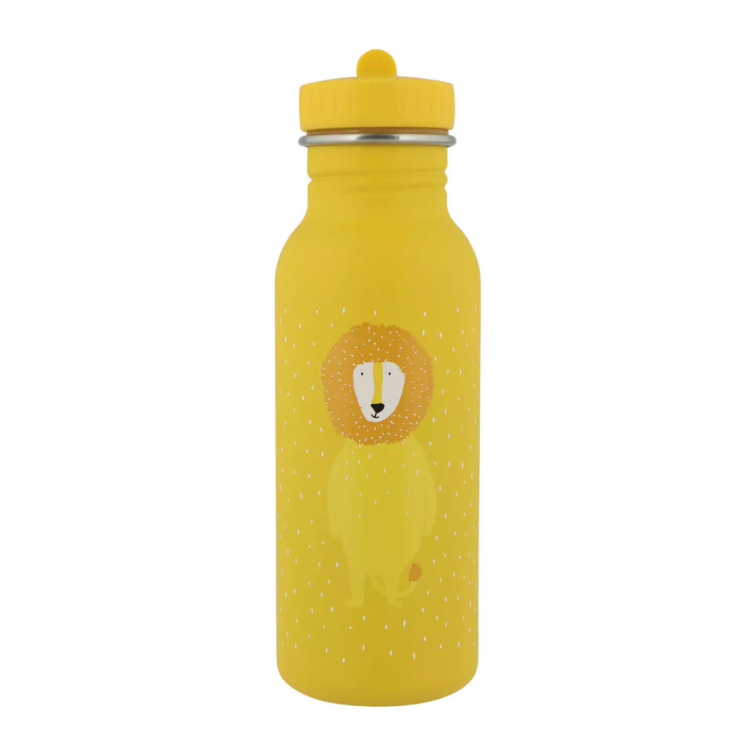 An image of Kids Stainless Steel Water Bottles - Mr Lion