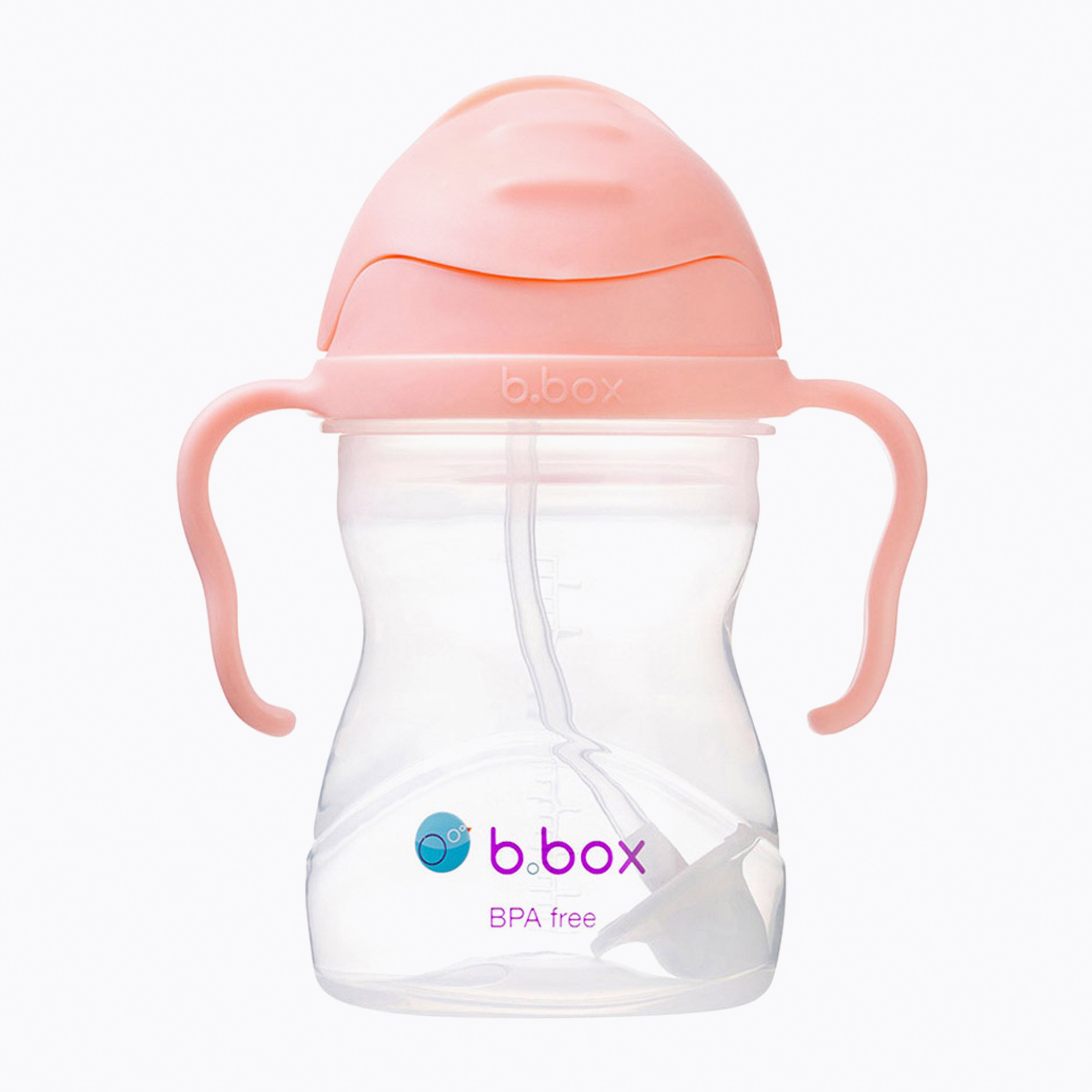 An image of Sippy Cup - B.Box Sippy Cup 240ml - Tutti Frutti | Small Smart UK