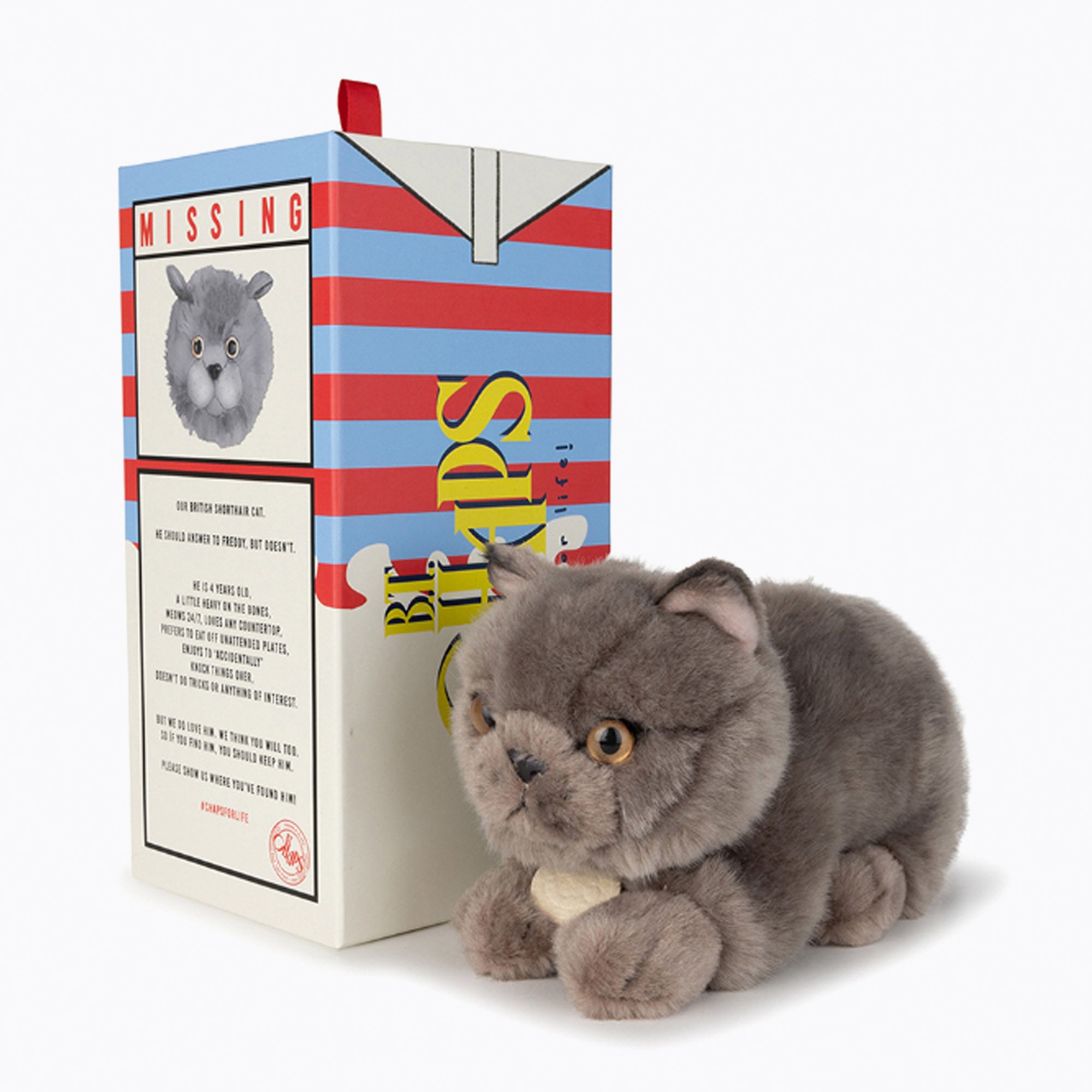 An image of Buy BT Chaps Freddy The British Shorthair in Giftbox