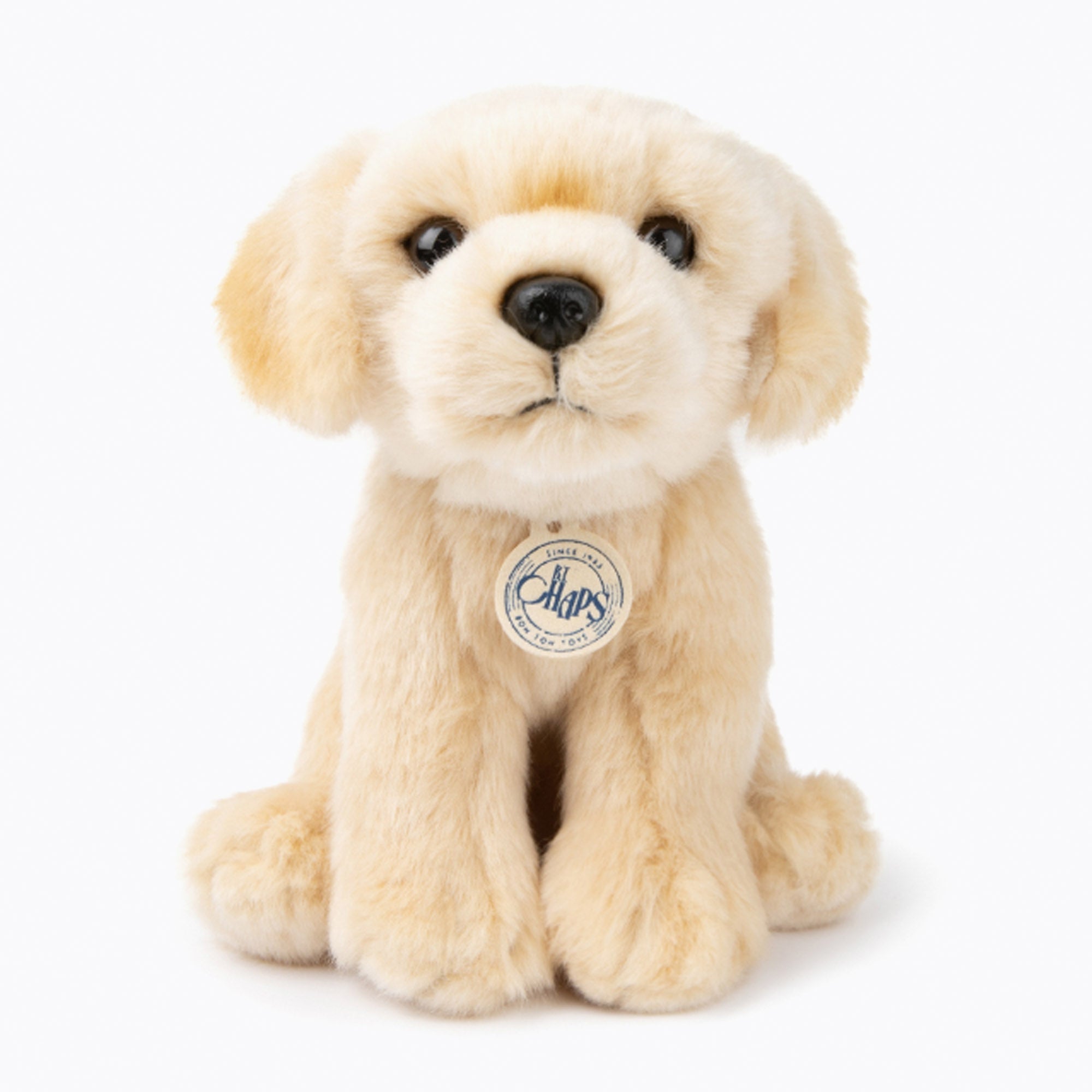 An image of BT Chaps Loulou The Labrador Soft Toy at Small Smart UK