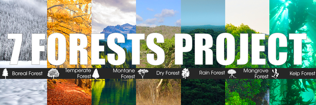 The 7 forests project: Boreal, temperate, montane, dry forest, rain forest, mangrove and kelp forest