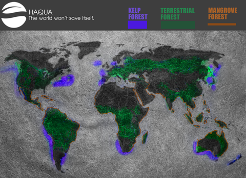 World map with Terrestrial forest cover, Mangrove forest and kelp forest highlighted
