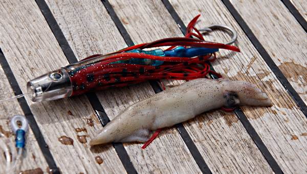 Scent Blazer Trolling Lures and Lure Trolling - Official Site
