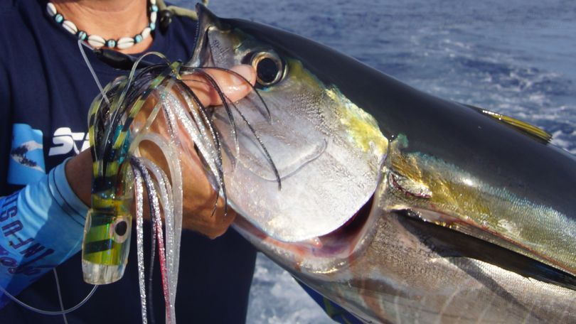 Yellowfin Tuna Lure