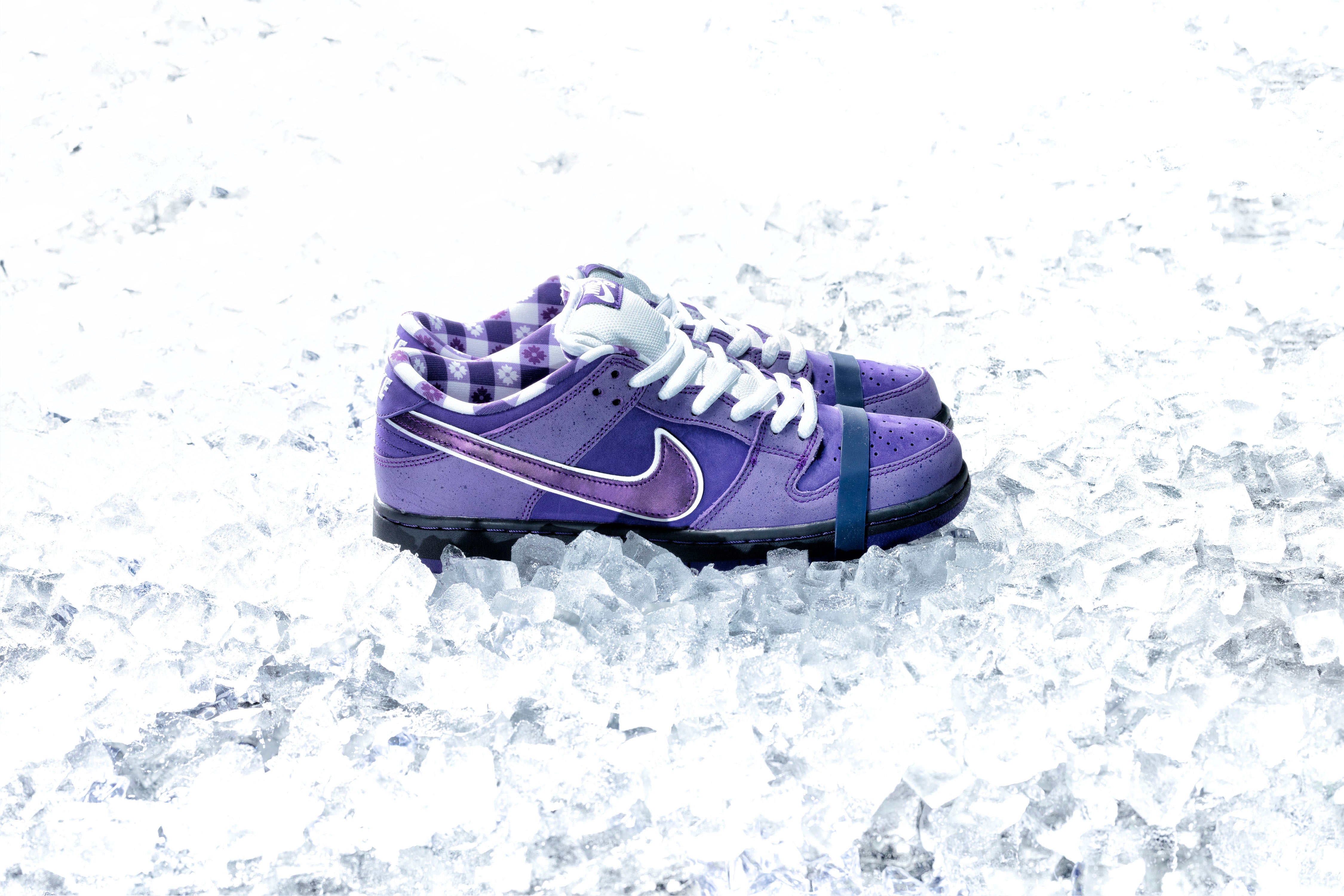 nike sb x concepts purple lobster