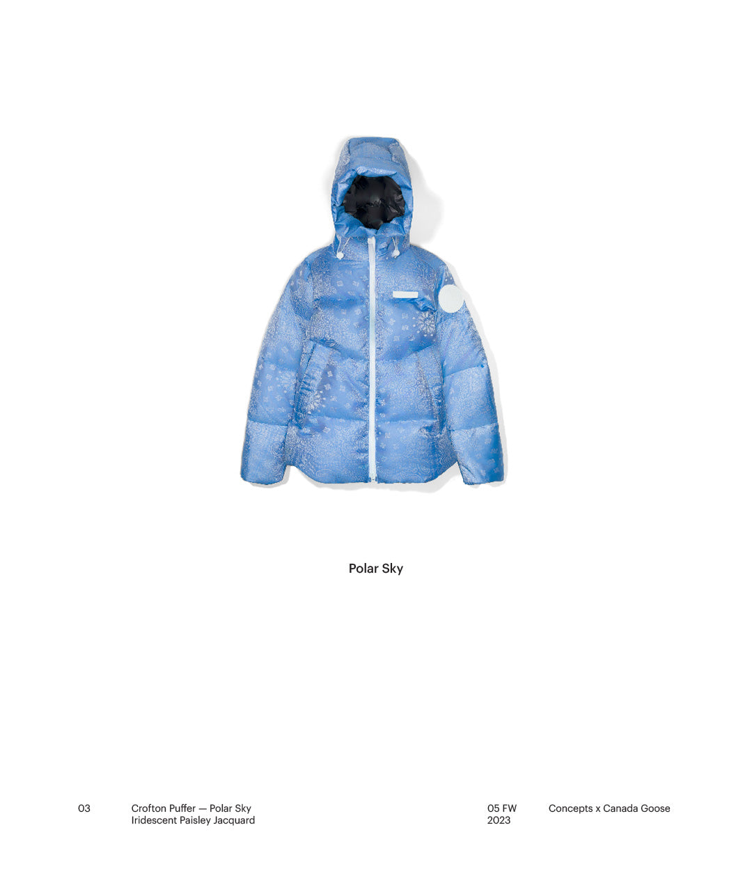 Concepts x Canada Goose Iced Out