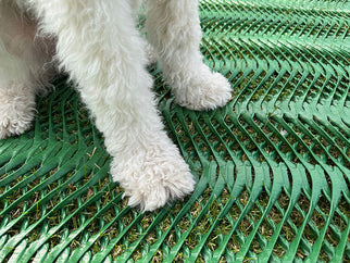 Dog Paws on Grass Protection Mesh