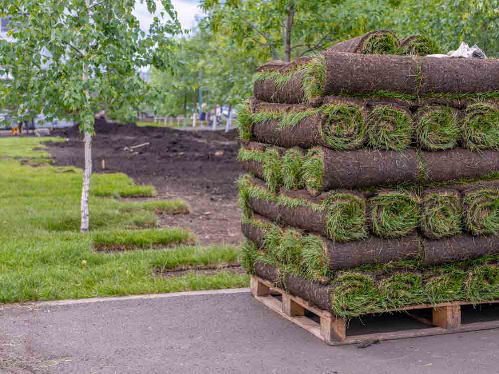 Sod on Pallet