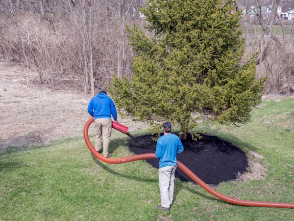 Spraying Mulch in Tree Bed