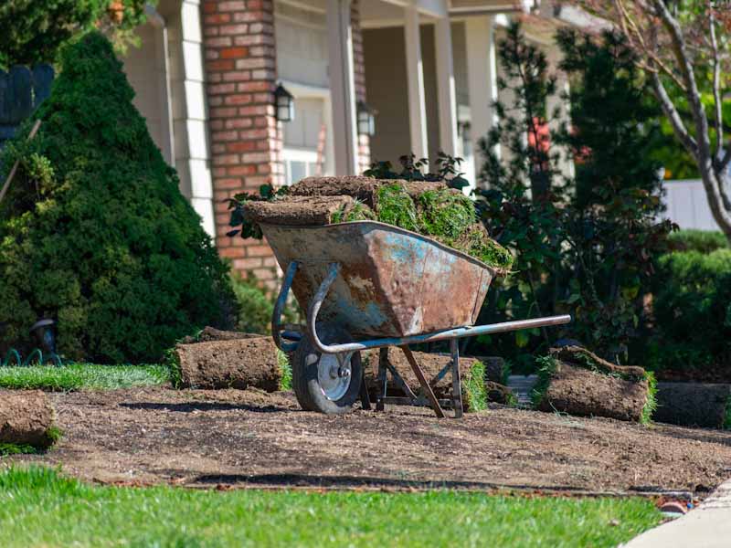 Lawn Installation