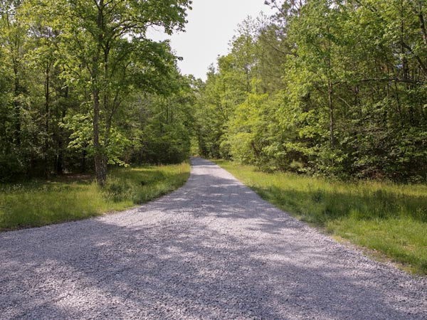 Long gravel driveway