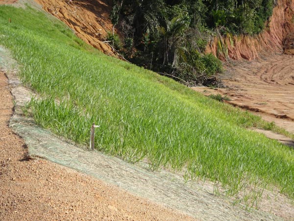 Steep Slope Erosion Control Mat — Eastgate Supply