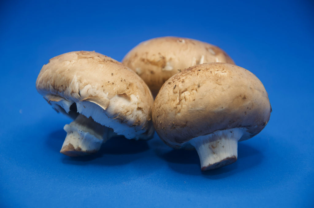 Portobello mushrooms on a blue background