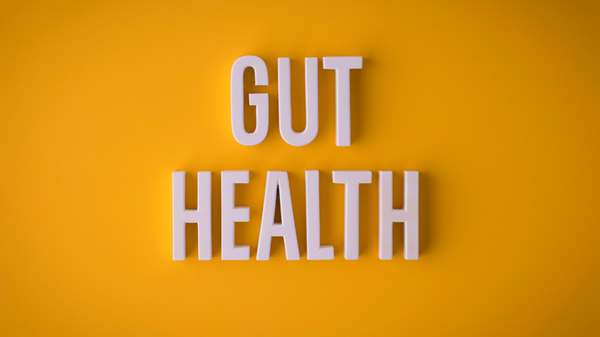How to Support a Healthy Gut Microbiome: A Guide to Feeding Your Gut Bacteria and Building Structural Support