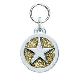 Glitter Star