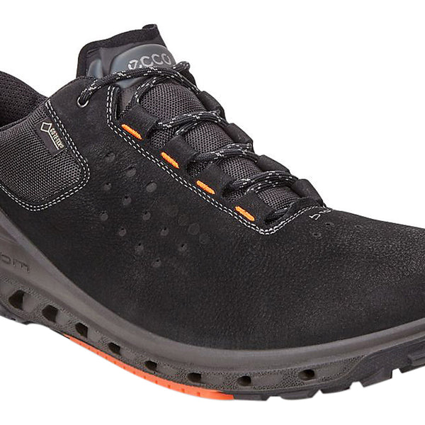 ecco biom venture gtx hiking shoes