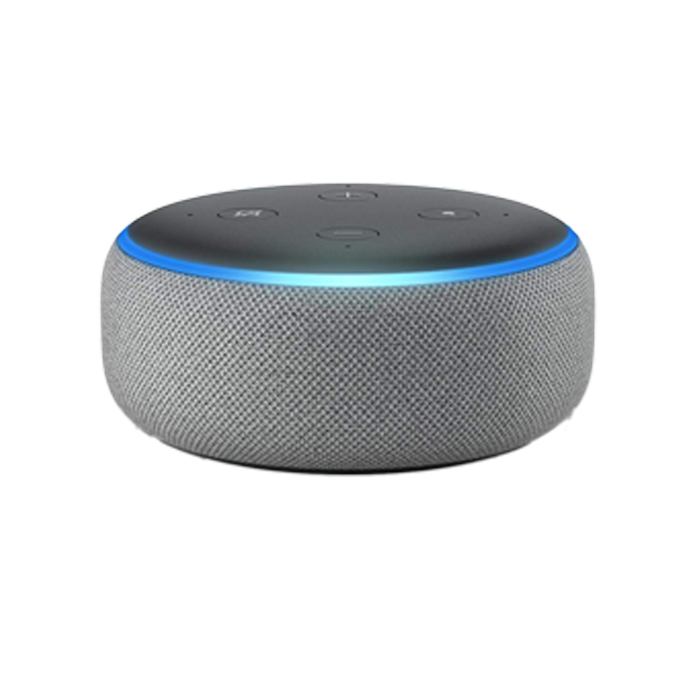 does the echo dot work with spotify