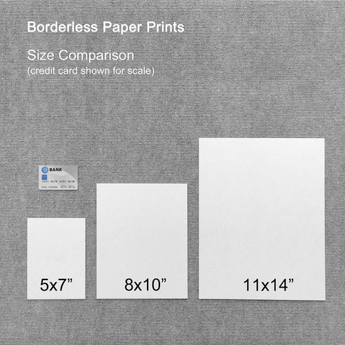 https://cdn.shopify.com/s/files/1/0043/6892/4760/products/HumanTreeRobot-Borderless-Size-Comparison_1cccdd44-7cdd-4ce2-8785-301e76df8833_500x.gif?v=1562962210