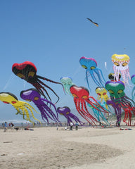 A colorful collection of kites from the 2023 Lincoln City Summer Kite Festival to illustrate Lincoln City Gifts: Community Outreach Events for June 2023.